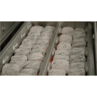 Twin Eagles TECT Charcoal Tray Insert for Gas Grills