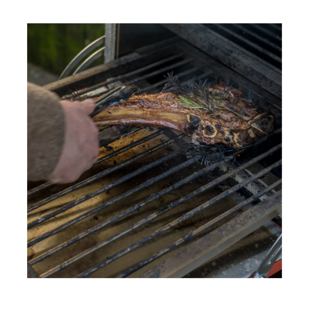 Keveri SS Grill Rack