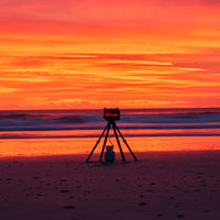 Gozney Tread Olive Portable Propane Gas Pizza Oven w/ Stand Bundle