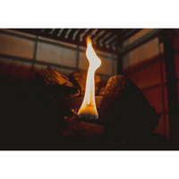 GW Essential Charcoal Grill Starter Pack