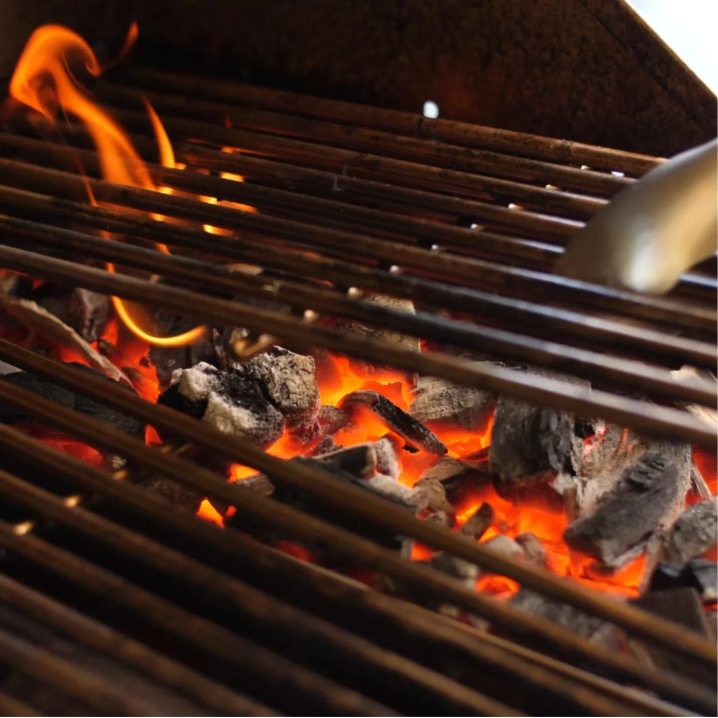 Lion Premium Grills Charcoal Tray
