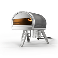 Gozney Roccbox Portable Pizza Oven
