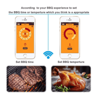 GWPro Wireless Meat Food Thermometer for Grill BBQ Smart Digital Bluetooth
